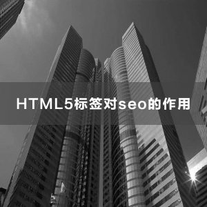 HTML5标签对seo的作用，以及主题HTML5标签自定义功能介绍