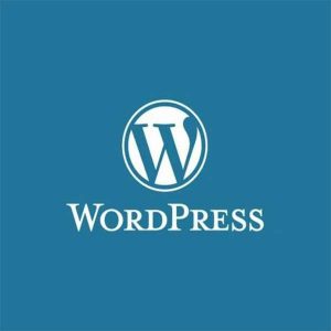 wordpress和seo有什么关系？