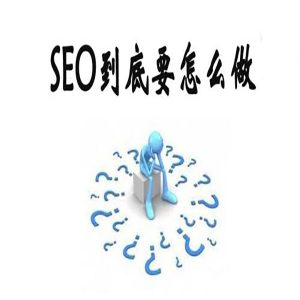 深圳seo优化的网站诊断方法