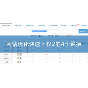 「深圳seo」网站优化如何用30天做到权2？