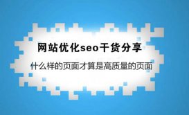 seo网站seo服务优化_网站seo基础入门教程_seo基础知识网站