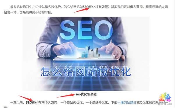 搜索引擎优化(seo)知识完全手册_seo网页的基础知识_无锡seo基础知识