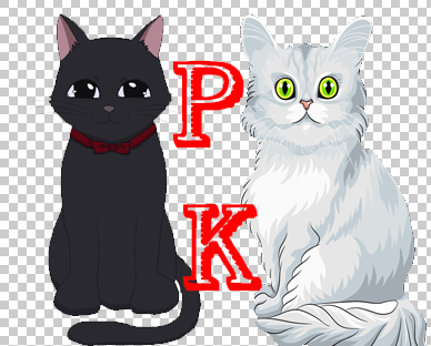 黑猫PK白猫