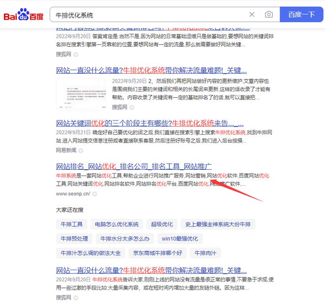 sitelusongsong.com 网站seo优化效果_seo网站优化效果怎么样_广州seo教程优化效果