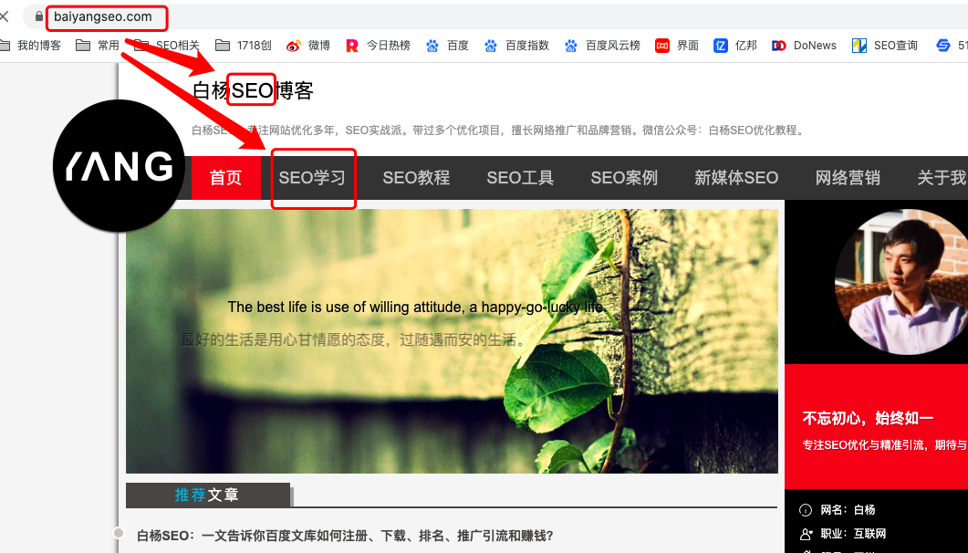 seo是网站搜索引擎上的优化_seo网站优化后缀是什么_seo优化网站怎么优化