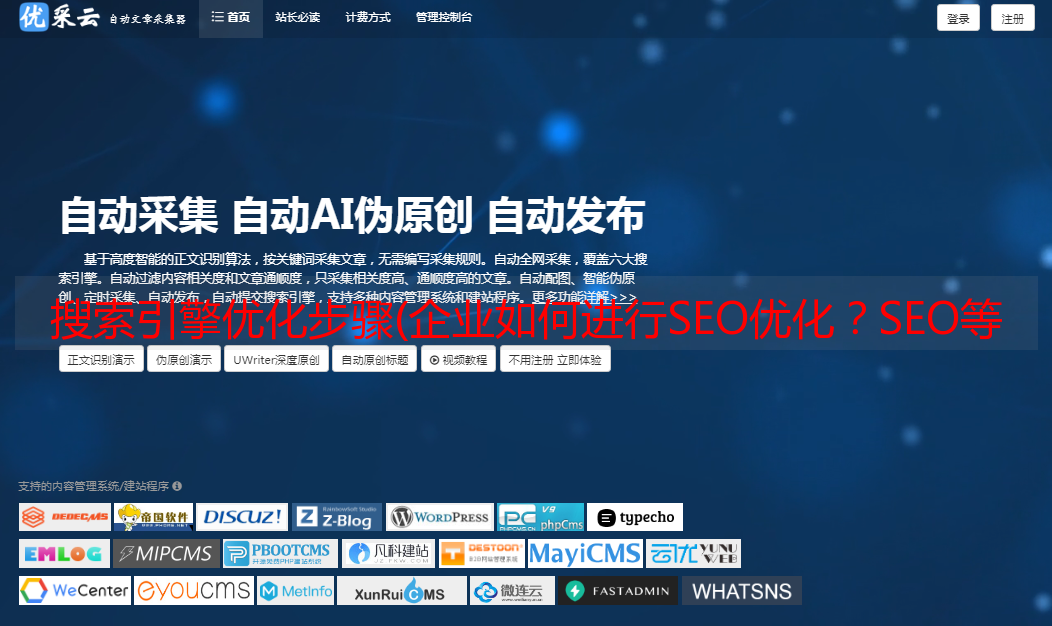 大庆网站seo优化服务_seo网站优化服务_seo搜索优化服务