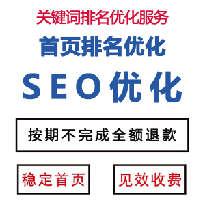 seo网站seo服务优化_《seo关键解码网站营销与搜索引擎优化》下载_seo网站关键词优化机构