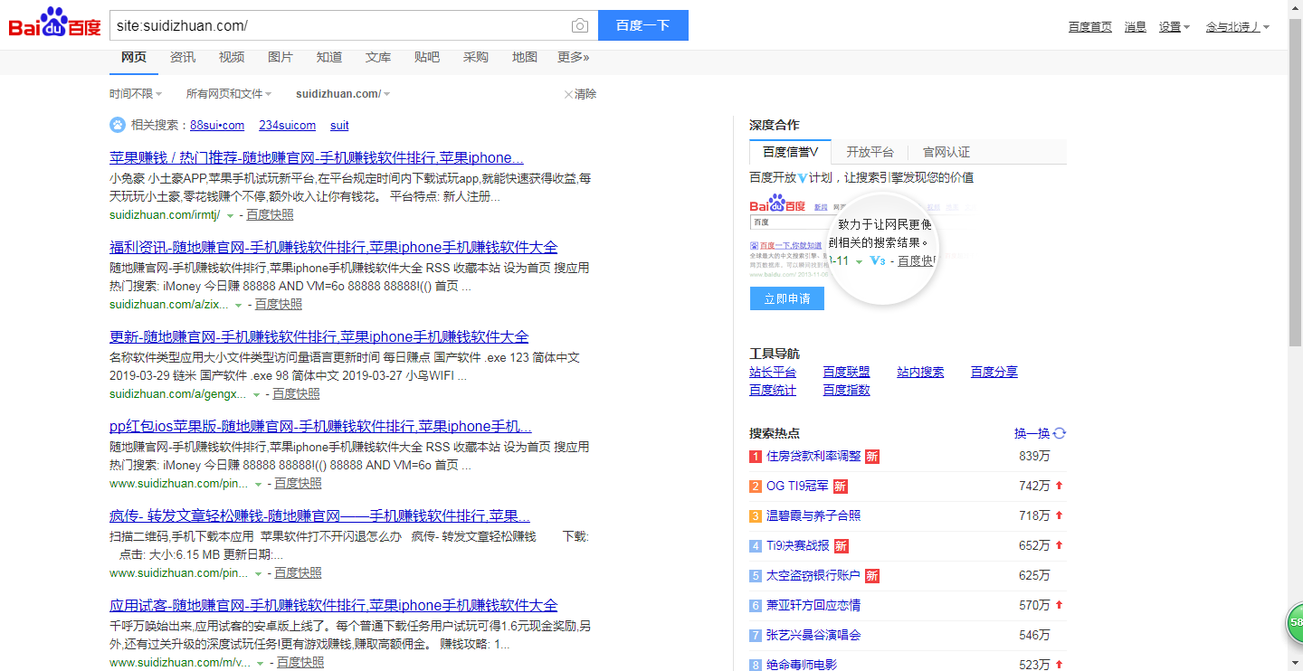 网站seo优化案例_seo攻略搜索引擎优化策略与实战案例详解_大型网站seo优化案例